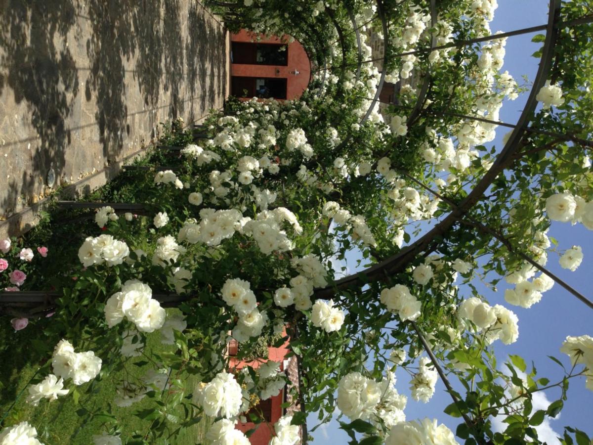Agriturismo Casale Le Selvette Ripa Εξωτερικό φωτογραφία
