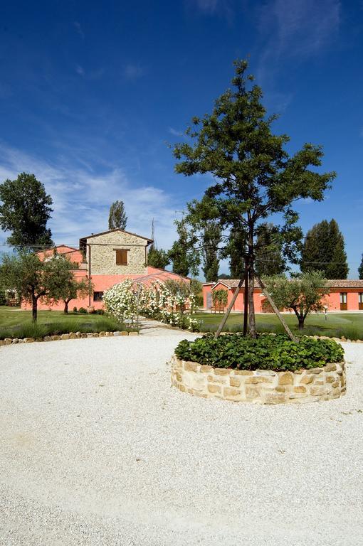 Agriturismo Casale Le Selvette Ripa Εξωτερικό φωτογραφία