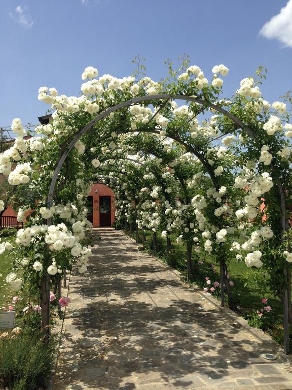 Agriturismo Casale Le Selvette Ripa Εξωτερικό φωτογραφία