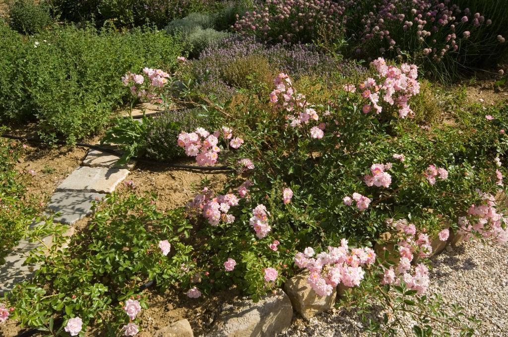 Agriturismo Casale Le Selvette Ripa Εξωτερικό φωτογραφία