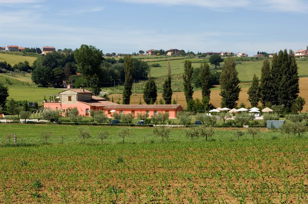 Agriturismo Casale Le Selvette Ripa Εξωτερικό φωτογραφία