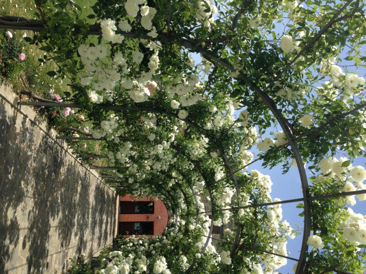 Agriturismo Casale Le Selvette Ripa Εξωτερικό φωτογραφία