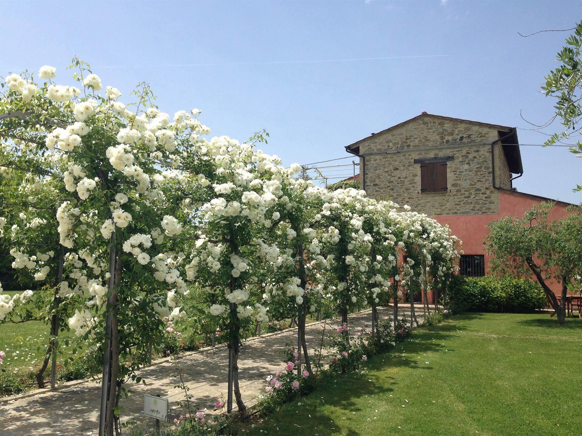 Agriturismo Casale Le Selvette Ripa Εξωτερικό φωτογραφία