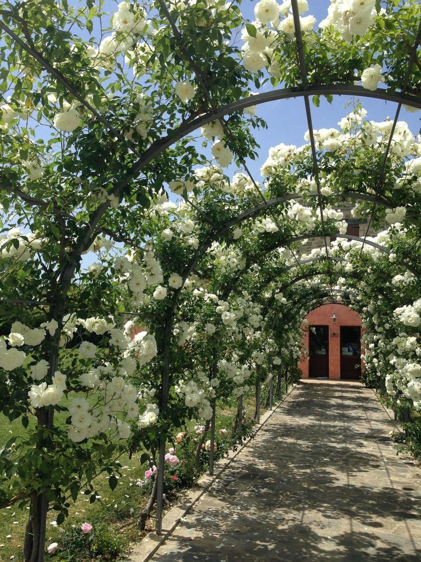 Agriturismo Casale Le Selvette Ripa Εξωτερικό φωτογραφία